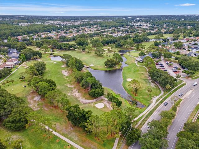 11503 WHISPERING HOLLOW DRIVE, Tampa, FL 33635