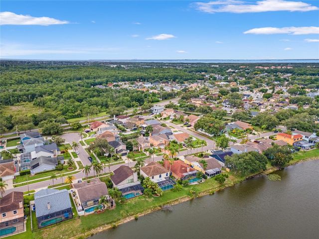 11503 WHISPERING HOLLOW DRIVE, Tampa, FL 33635