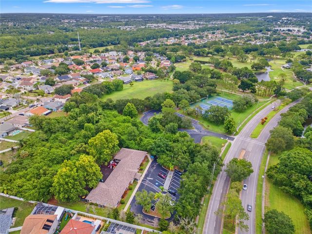 11503 WHISPERING HOLLOW DRIVE, Tampa, FL 33635