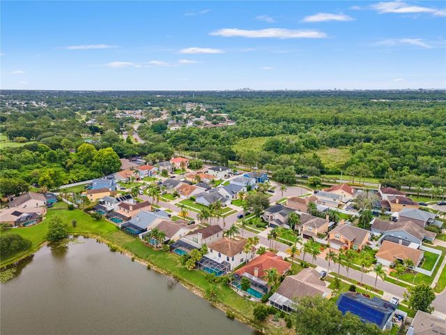 11503 WHISPERING HOLLOW DRIVE, Tampa, FL 33635