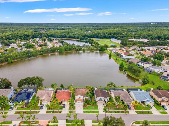 11503 WHISPERING HOLLOW DRIVE, Tampa, FL 33635