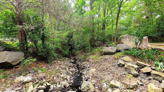 11703 Withers Mill Drive, Charlotte, NC 28278