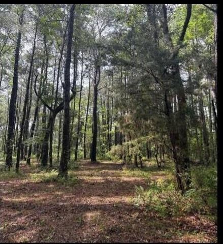 7477 N Highway 17, Awendaw, SC 29429
