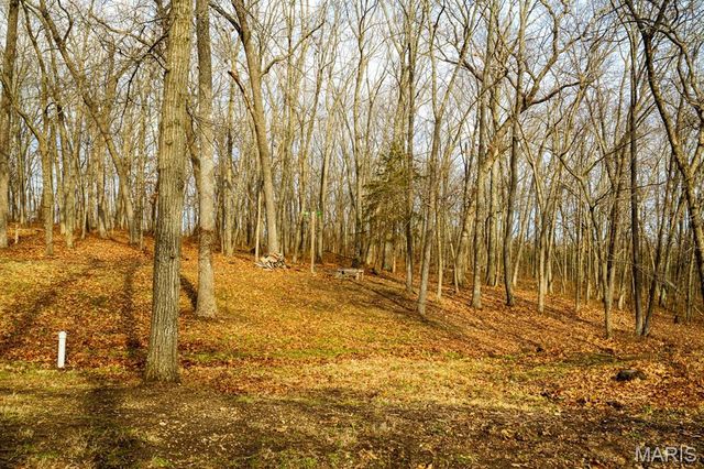 1858 Country Ridge Road, Rolla, MO 65401