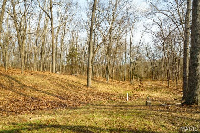 1858 Country Ridge Road, Rolla, MO 65401