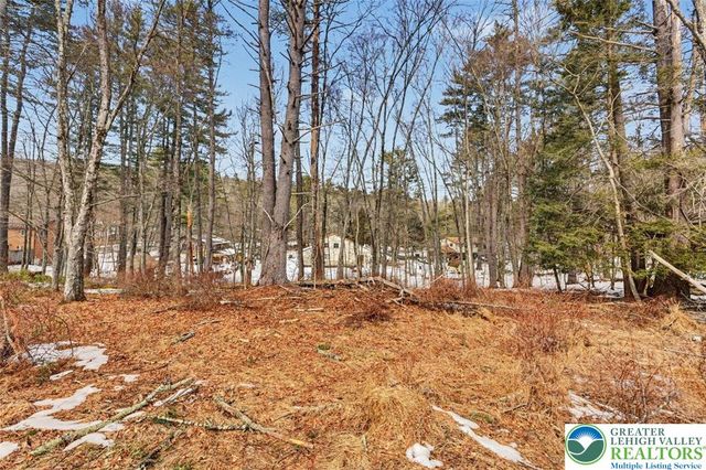 108 Mink Lane, Lehman Twp, PA 18324