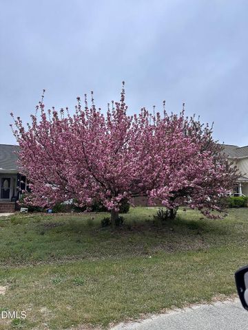 60 Sandy Tingen Court, Broadway, NC 27505