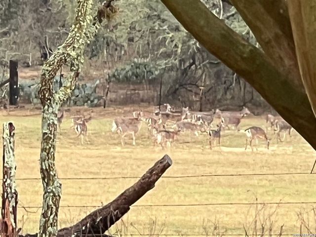 1384 County Road 326, Adkins, TX 78101