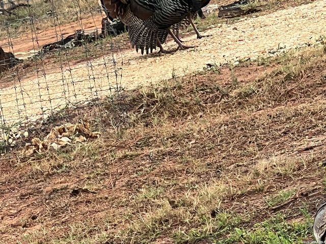 1384 County Road 326, Adkins, TX 78101