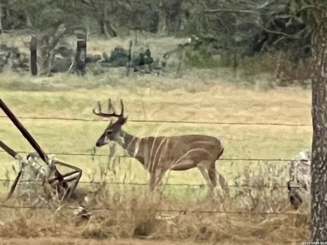 1384 County Road 326, Adkins, TX 78101