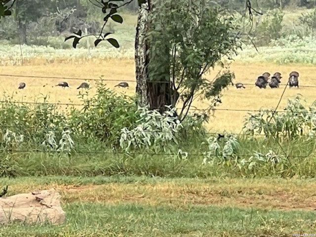 1384 County Road 326, Adkins, TX 78101