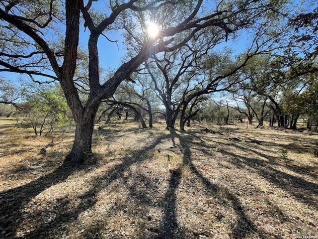 1384 County Road 326, Adkins, TX 78101