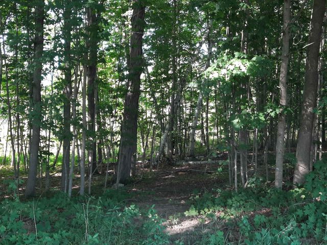 4724 Stone Drive, Millington, MI 48746