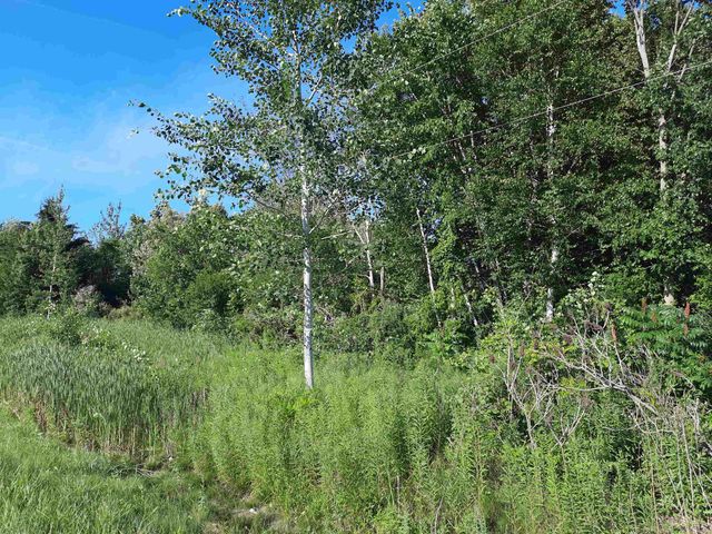 4724 Stone Drive, Millington, MI 48746