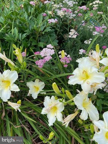 115 LAKESIDE DR, Greenbelt, MD 20770