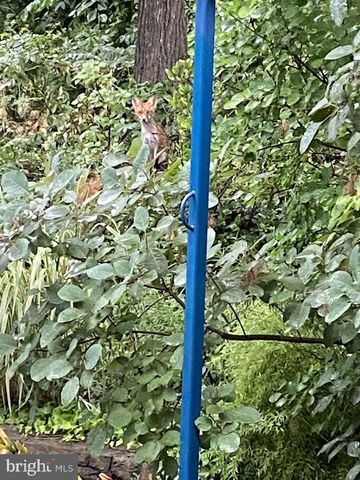 115 LAKESIDE DR, Greenbelt, MD 20770