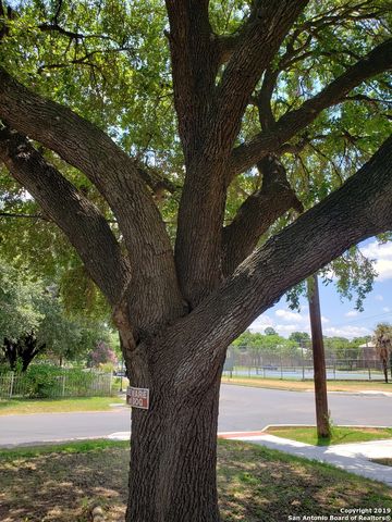 405 N Park Blvd, San Antonio, TX 78204