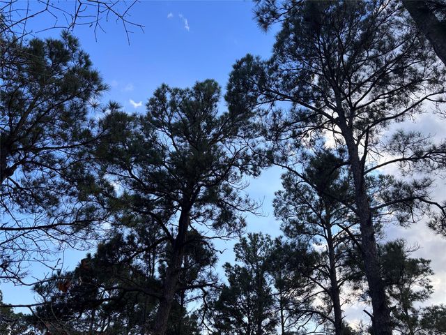 126 & 127 Grand Canyon DR, Bastrop, TX 78602
