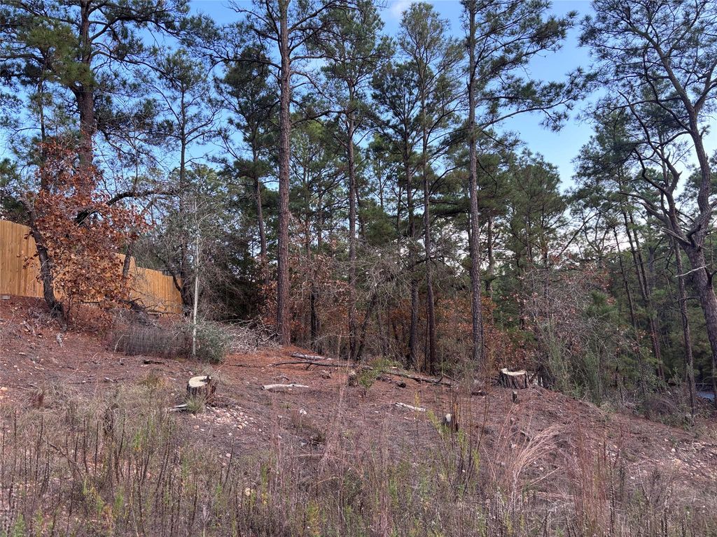 126 & 127 Grand Canyon DR, Bastrop, TX 78602