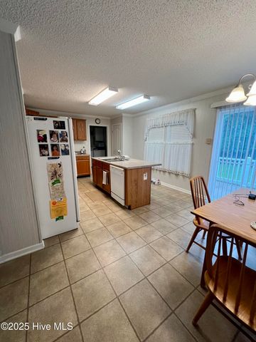 202 Purple Iris Drive, Pikeville, NC 27863