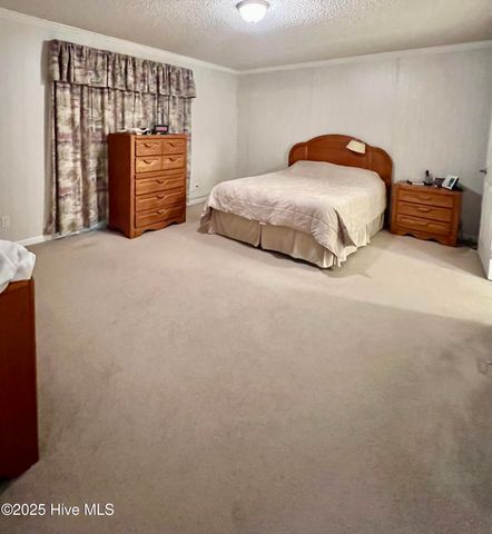 202 Purple Iris Drive, Pikeville, NC 27863