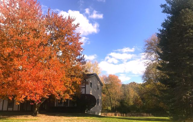 9625 Oakview Drive, Portage, MI 49024