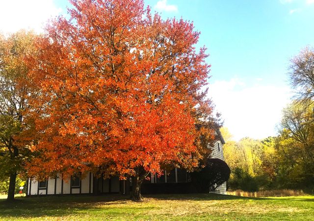 9625 Oakview Drive, Portage, MI 49024