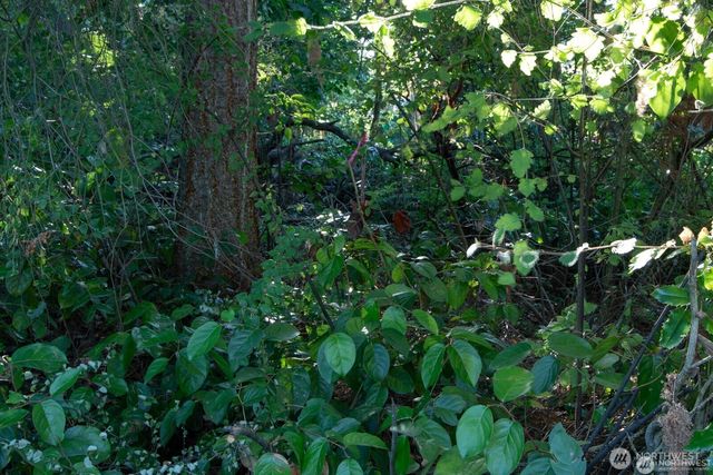 1111 1st Avenue NE, Seattle, WA 98125