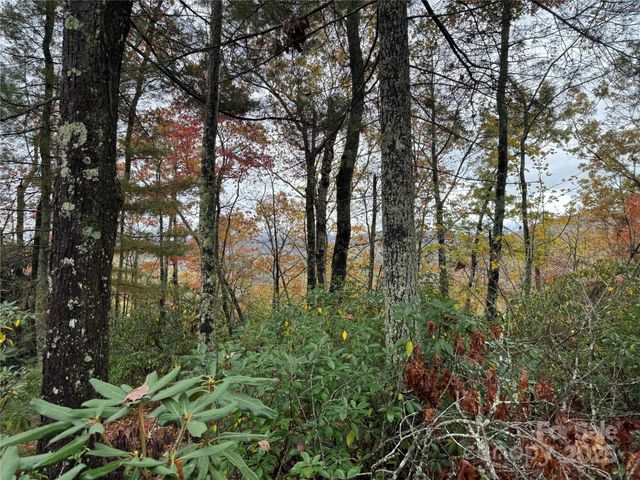 00 King Road, Pisgah Forest, NC 28768