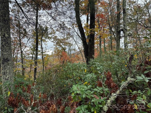 00 King Road, Pisgah Forest, NC 28768