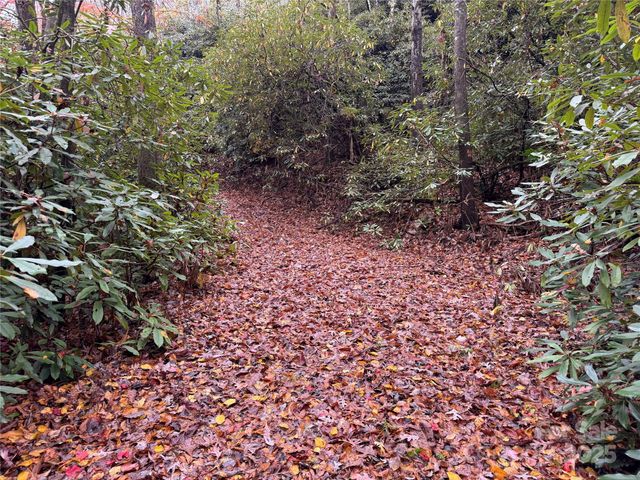 00 King Road, Pisgah Forest, NC 28768