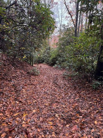 00 King Road, Pisgah Forest, NC 28768