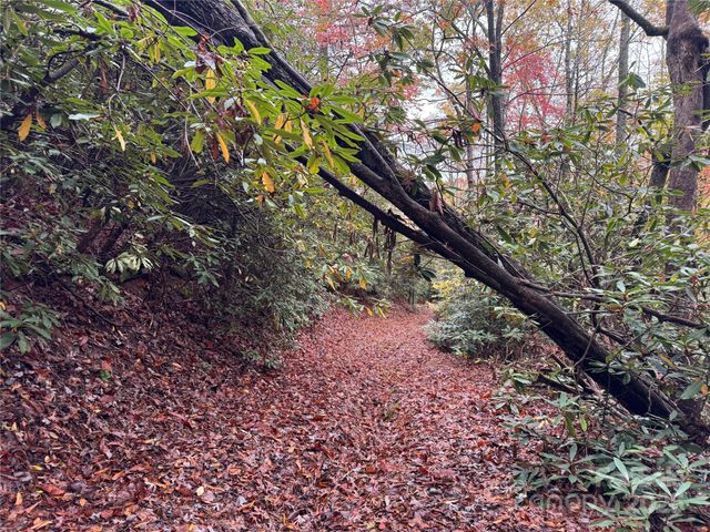 00 King Road, Pisgah Forest, NC 28768