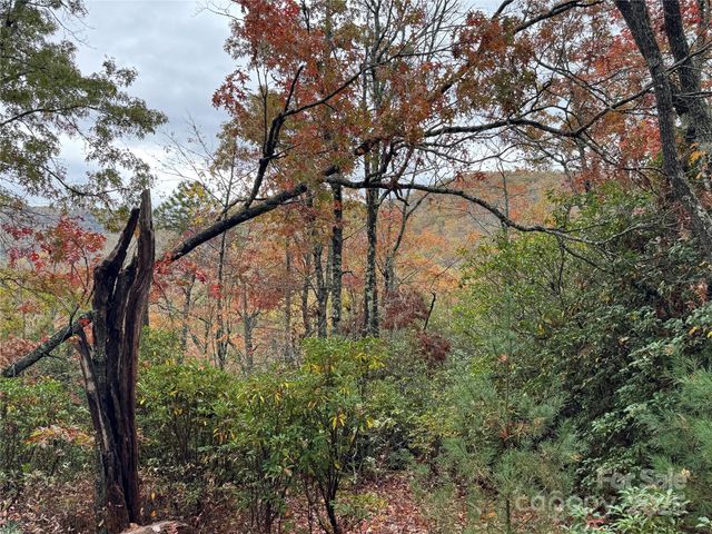 00 King Road, Pisgah Forest, NC 28768