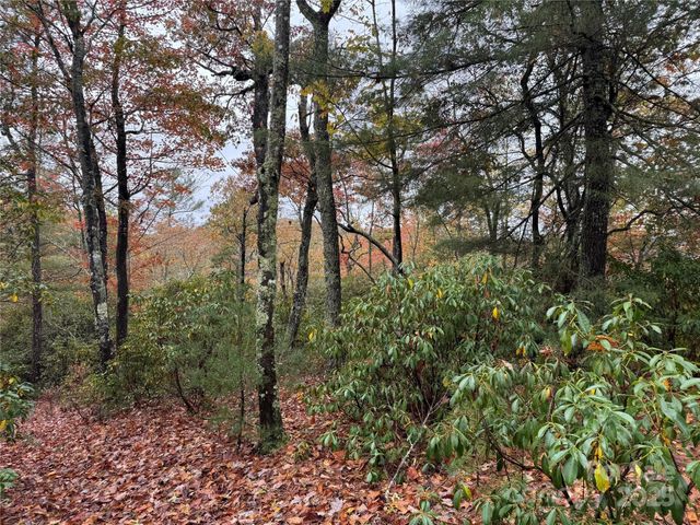 00 King Road, Pisgah Forest, NC 28768