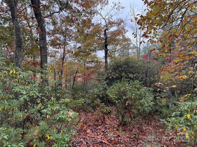 00 King Road, Pisgah Forest, NC 28768