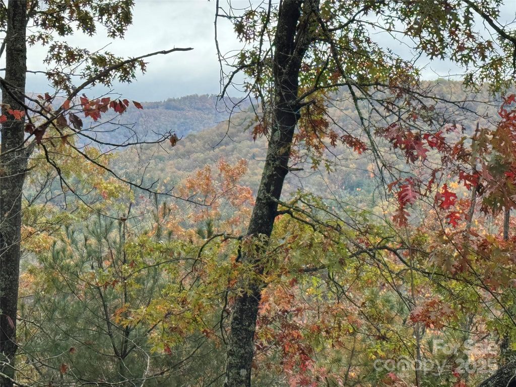 00 King Road, Pisgah Forest, NC 28768