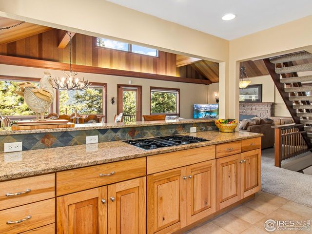 1433 Vista View Ln, Estes Park, CO 80517