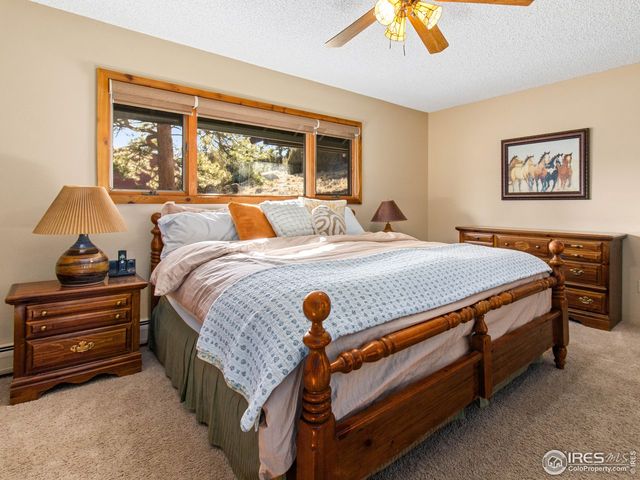 1433 Vista View Ln, Estes Park, CO 80517