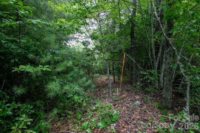 Lot 10 Emma Bri Lane 10, Hendersonville, NC 28739