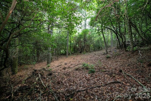 Lot 10 Emma Bri Lane 10, Hendersonville, NC 28739