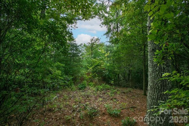 Lot 10 Emma Bri Lane 10, Hendersonville, NC 28739