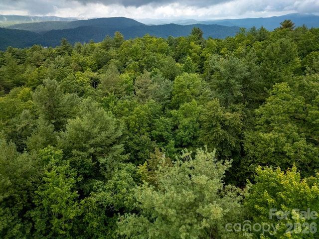 Lot 10 Emma Bri Lane 10, Hendersonville, NC 28739