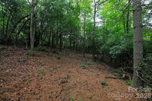 Lot 10 Emma Bri Lane 10, Hendersonville, NC 28739