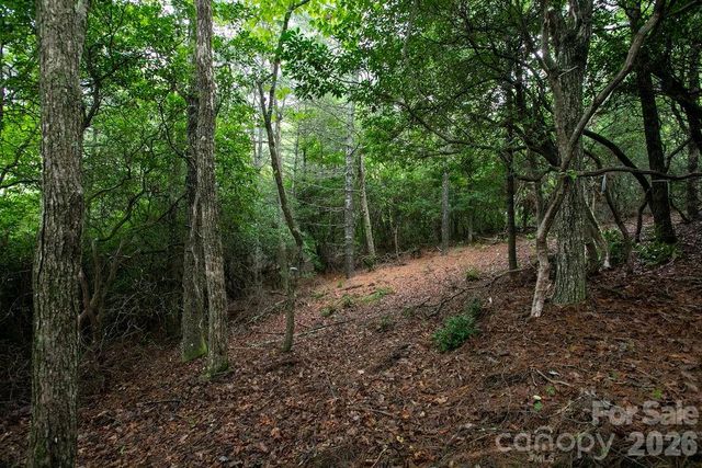 Lot 10 Emma Bri Lane 10, Hendersonville, NC 28739
