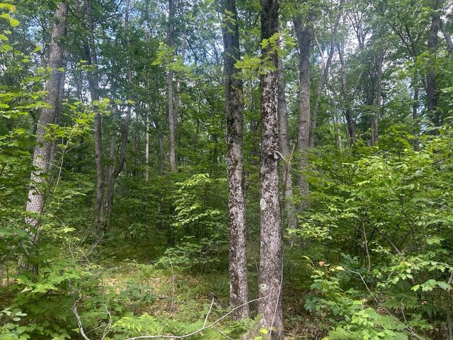 11349 Maple Lane, Gladwin, MI 48624