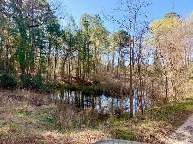 5375 CONDOR, Gilmer, TX 75645