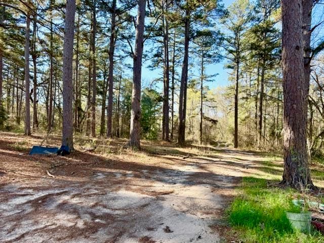 5375 CONDOR, Gilmer, TX 75645