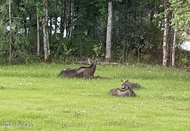 2320 Glacier Street, Anchorage, AK 99508