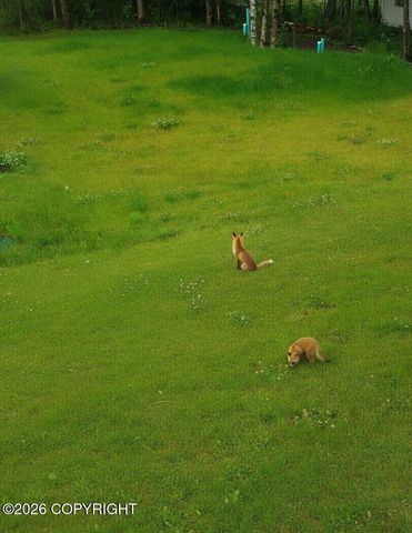 2320 Glacier Street, Anchorage, AK 99508